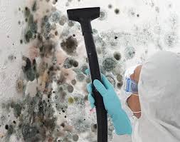 Why You Should Choose Our Mold Remediation Services in Merkel, TX